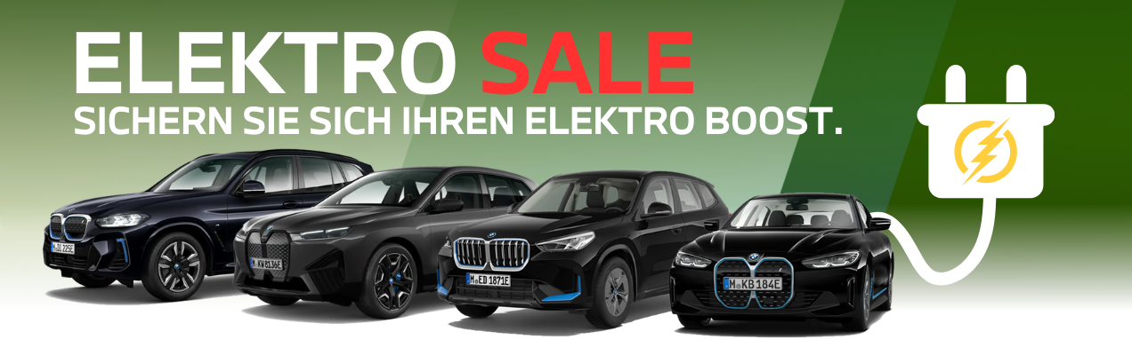 Der Hakvoort/HANKO E-Auto Sale